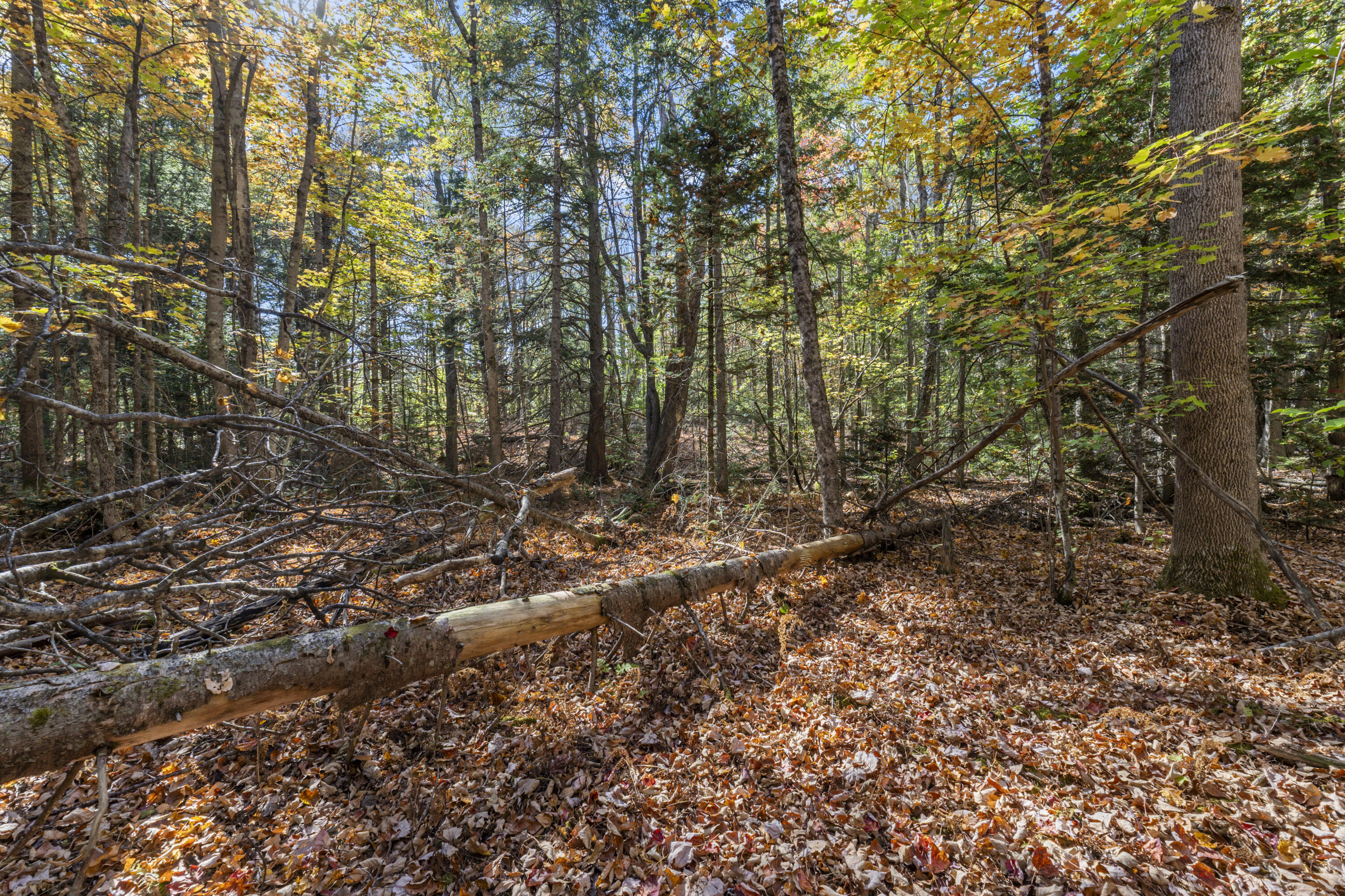 215 Ward Road Topsham ME 04086