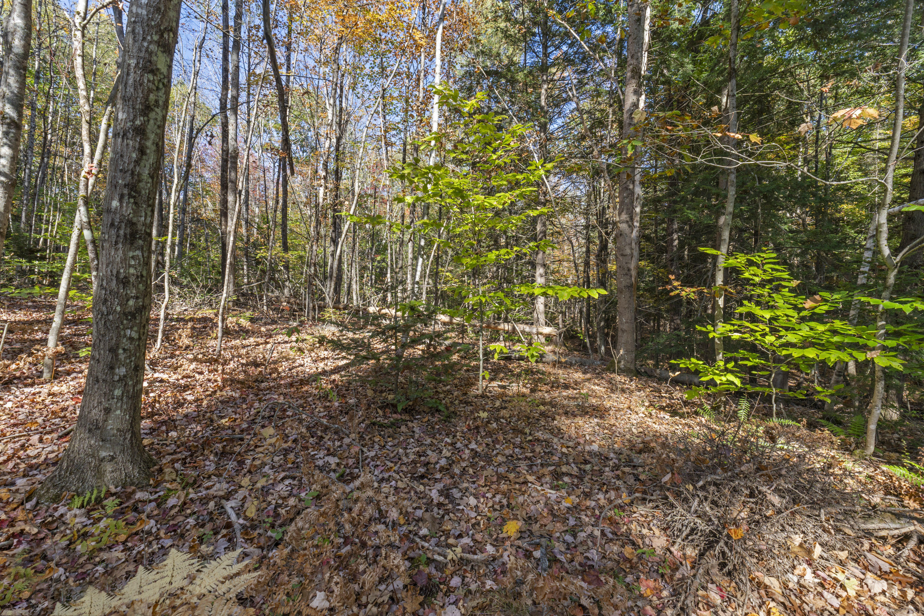 215 Ward Road Topsham ME 04086