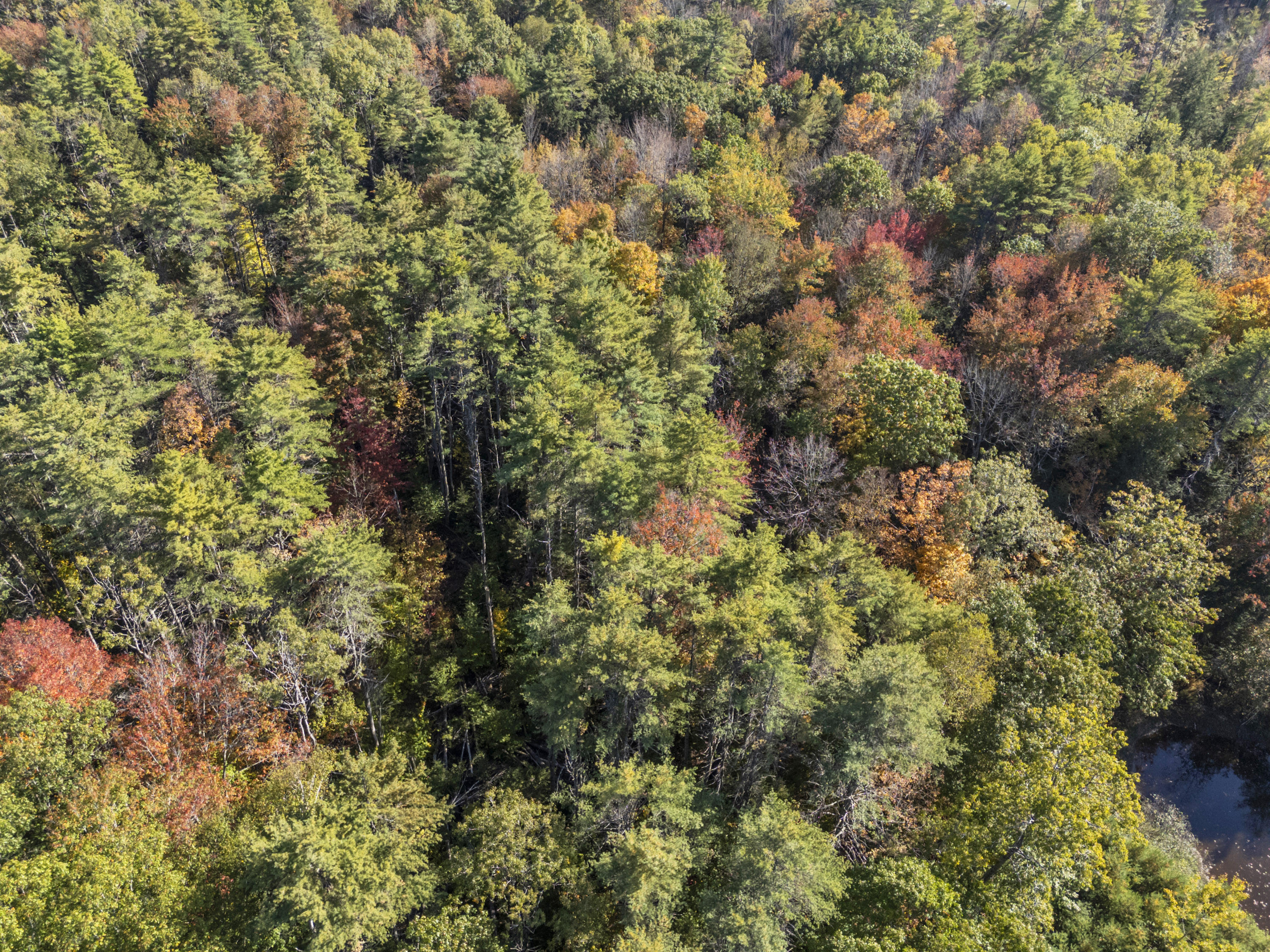 215 Ward Road Topsham ME 04086