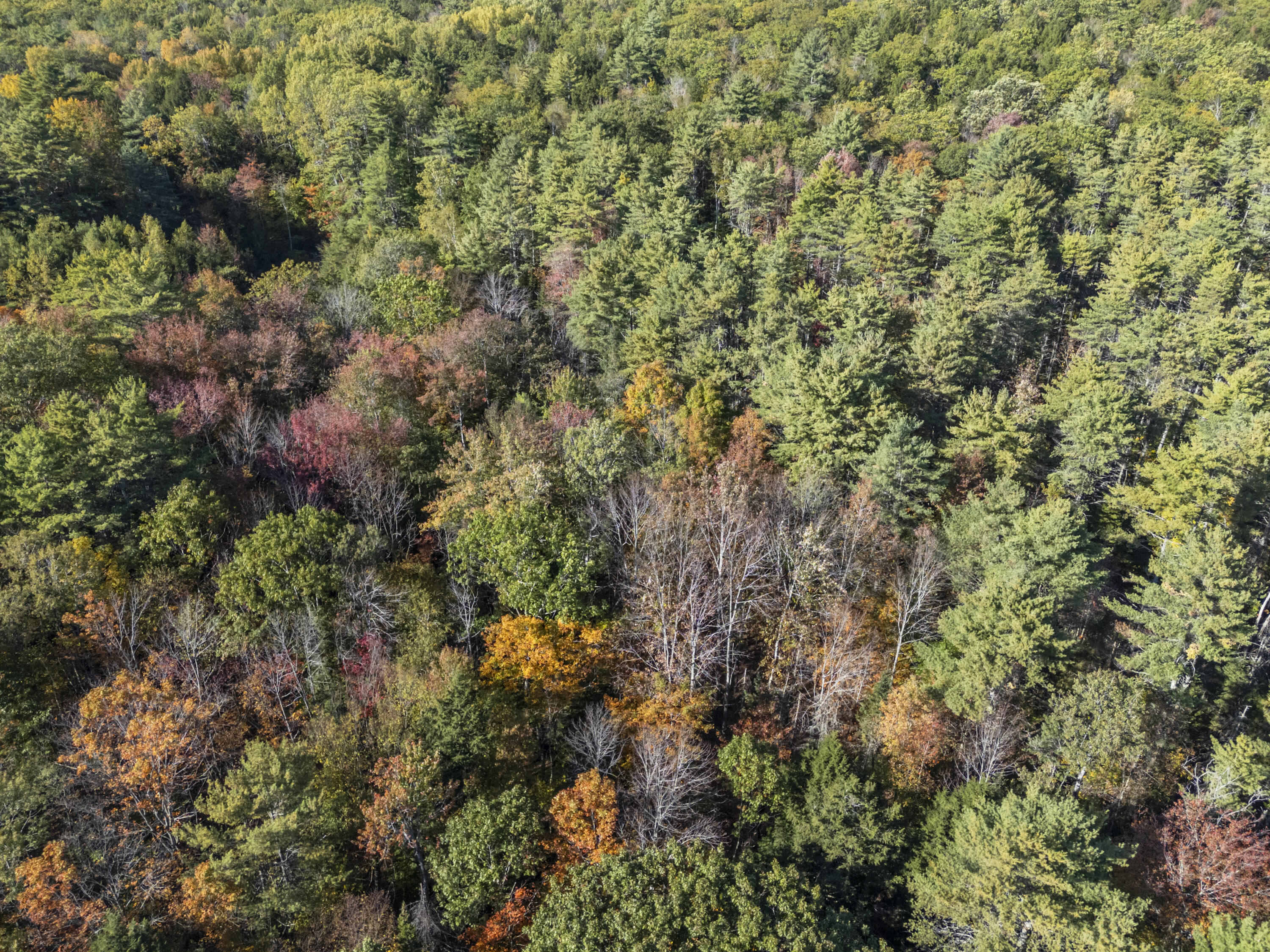 215 Ward Road Topsham ME 04086