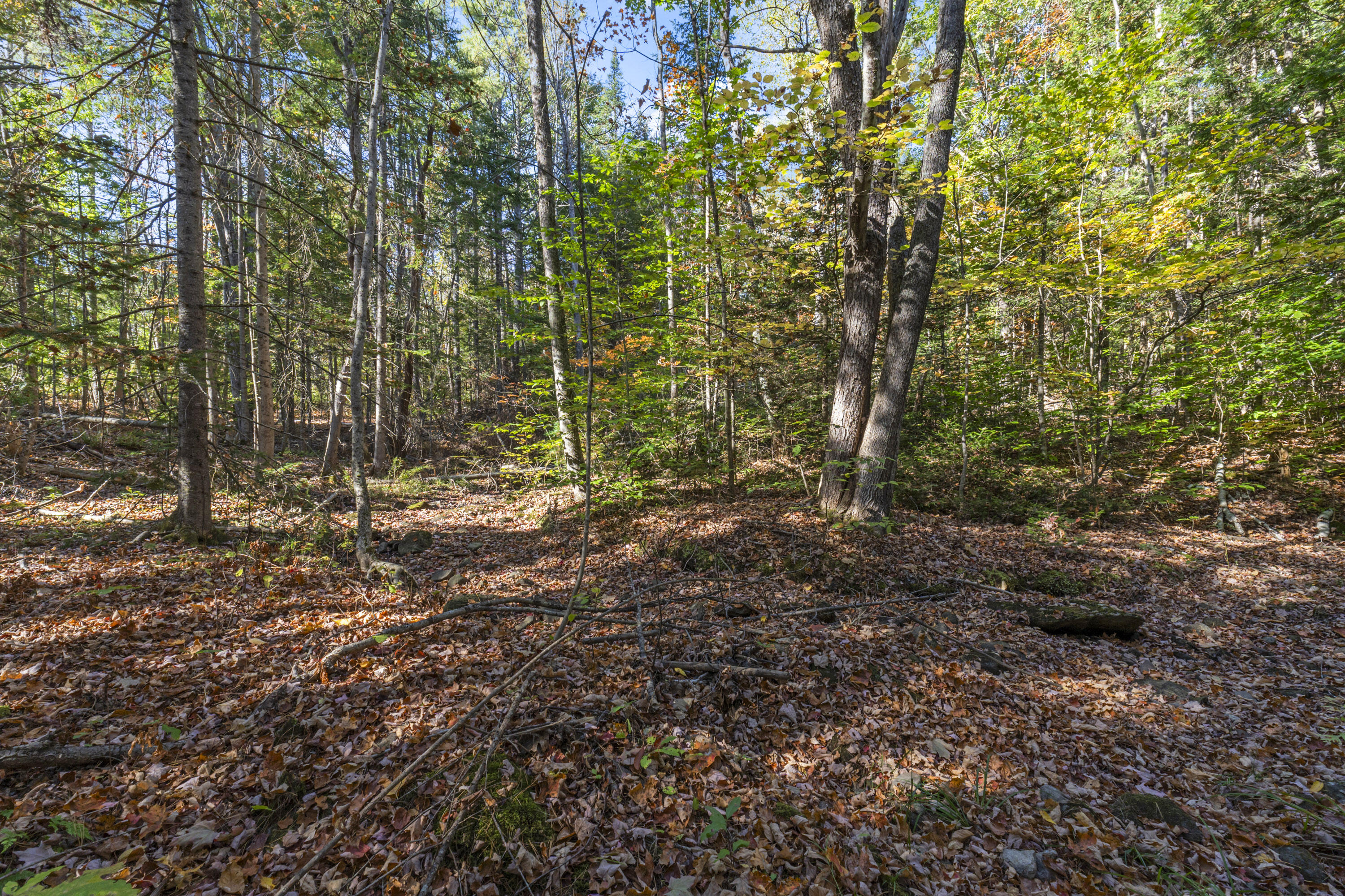 215 Ward Road Topsham ME 04086