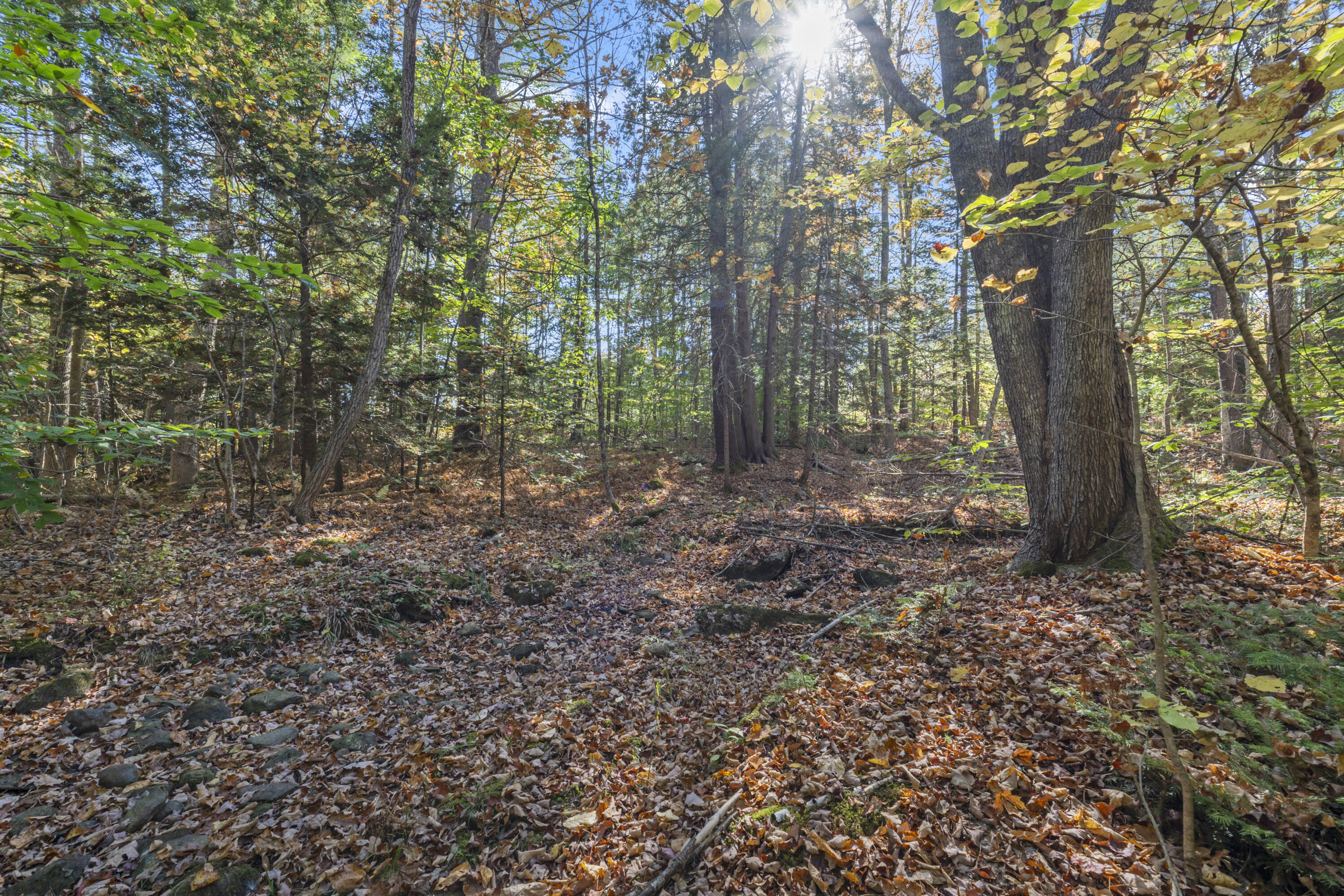 215 Ward Road Topsham ME 04086