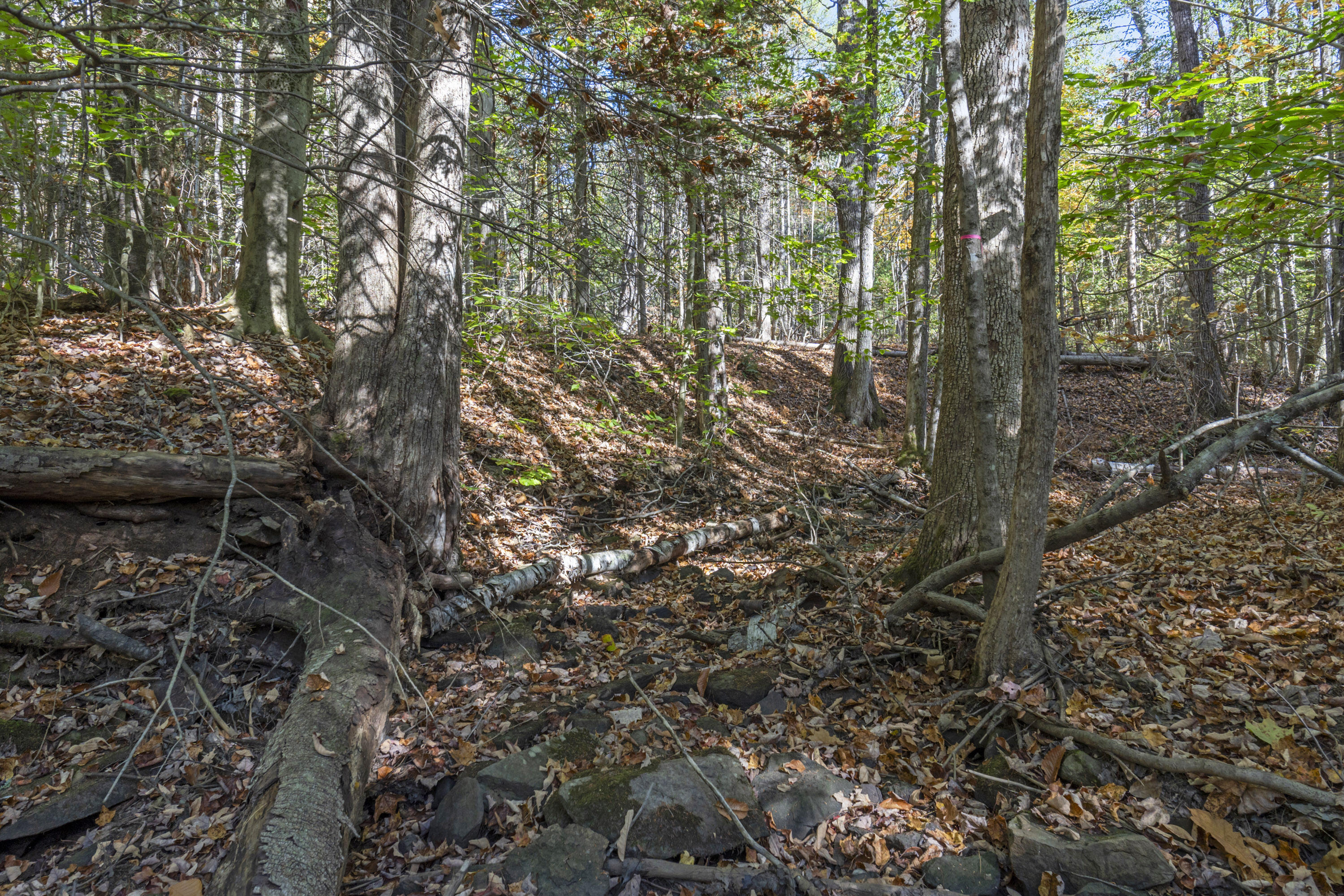 215 Ward Road Topsham ME 04086