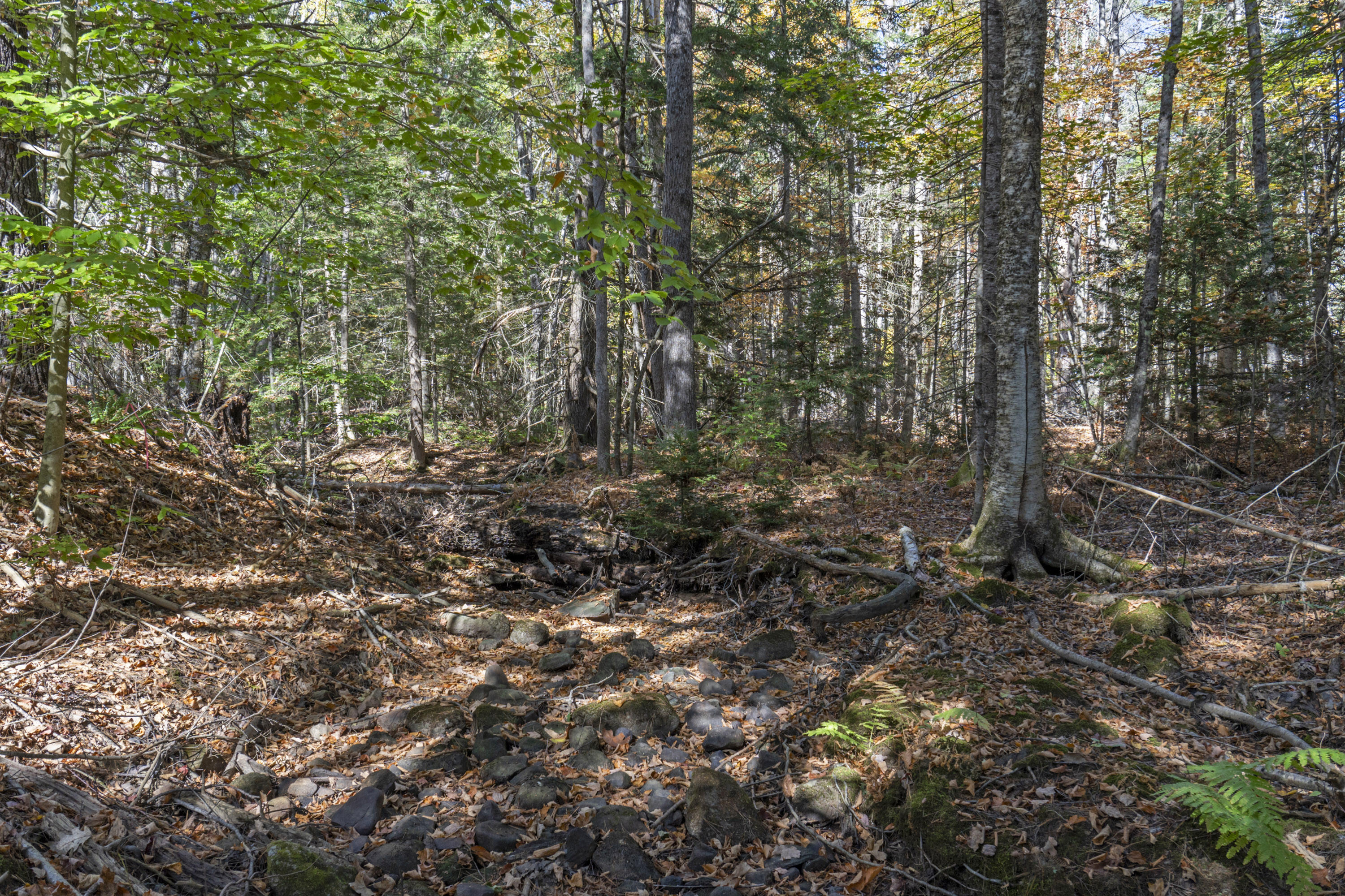 215 Ward Road Topsham ME 04086