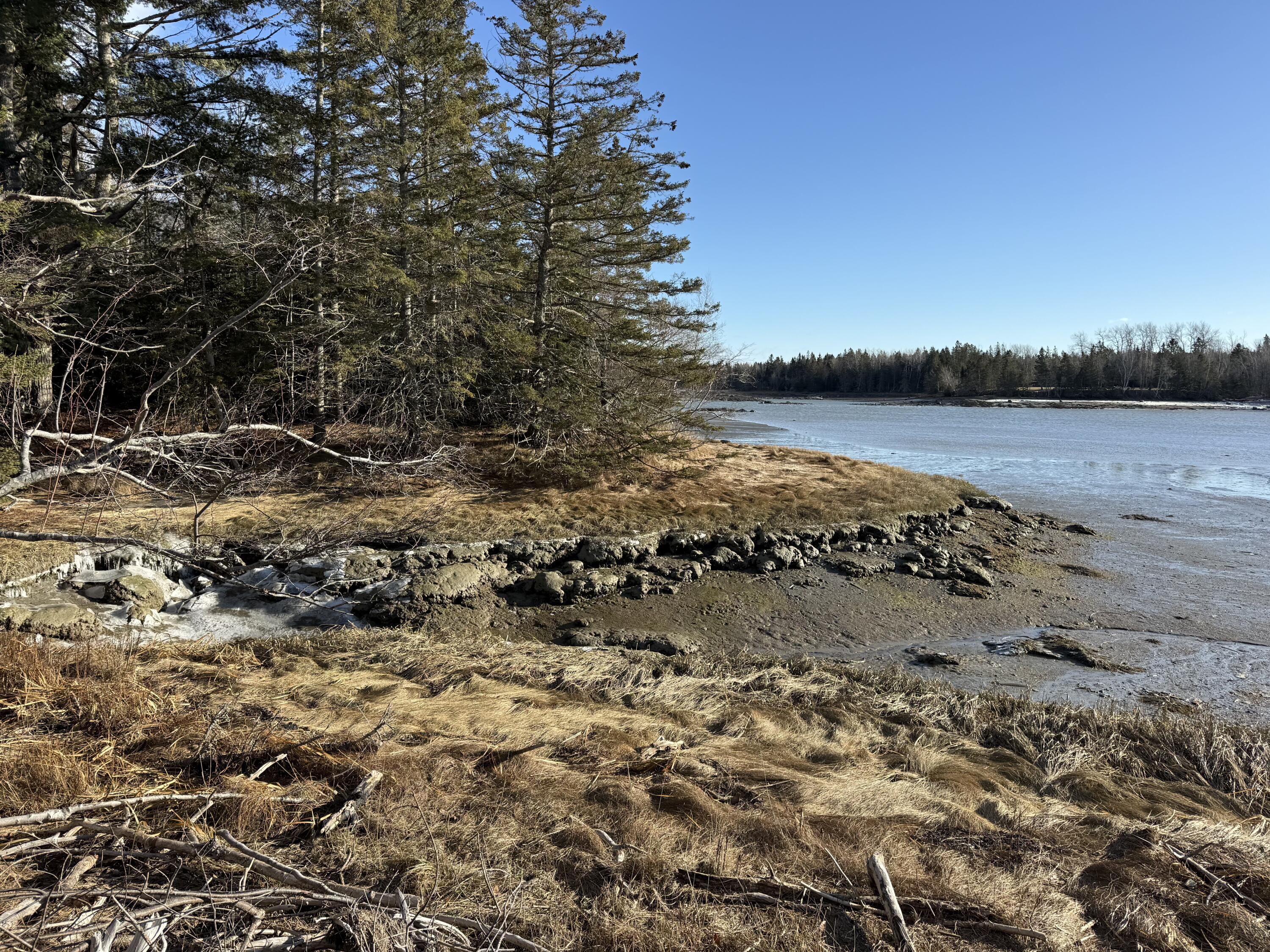 0 Mallard Lane Lamoine ME 04605