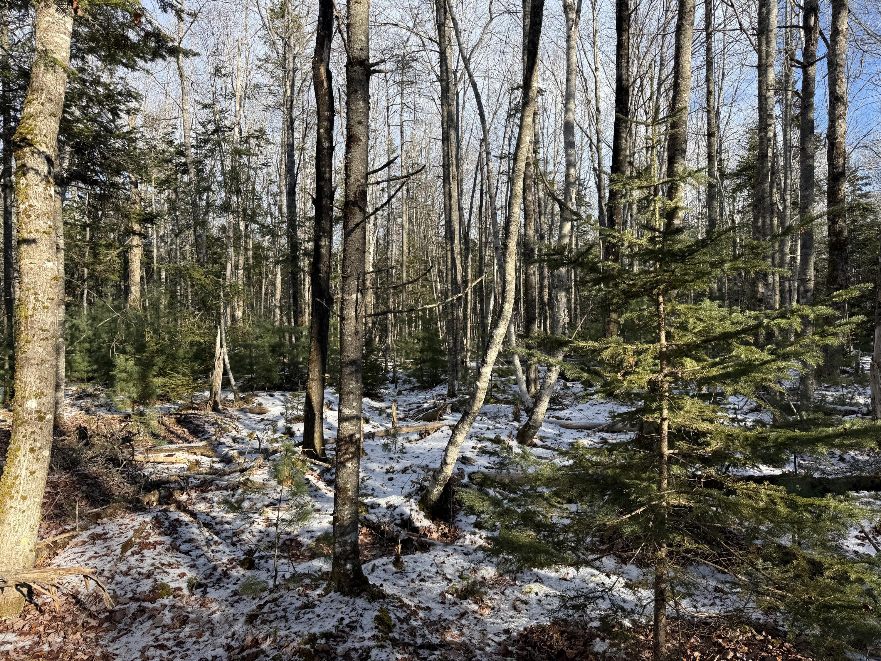 0 Mallard Lane Lamoine ME 04605