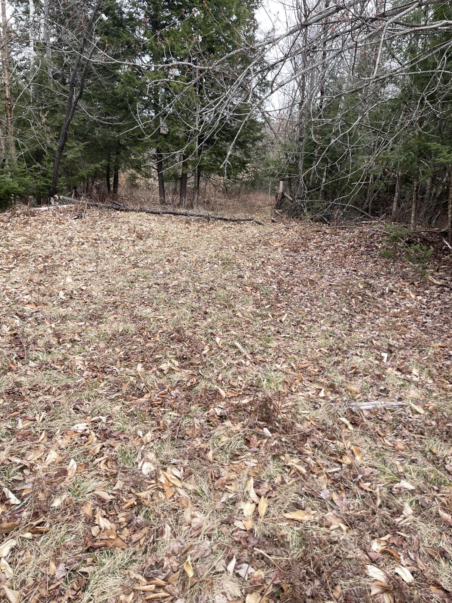 27-1 Hayes Harmony ME 04942