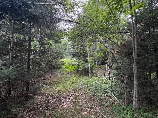 M2 L21-2 S Ridge Road Palmyra ME 04965