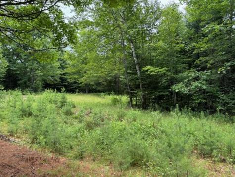 M2 L21-2 S Ridge Road Palmyra ME 04965