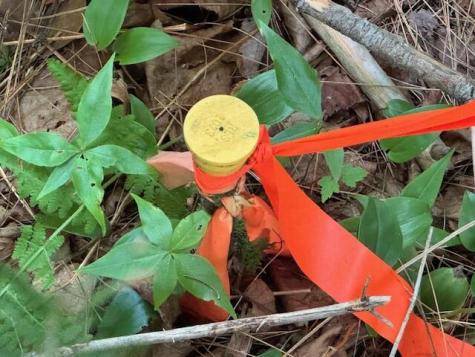 M2 L21-2 S Ridge Road Palmyra ME 04965