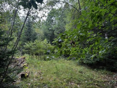 M2 L21-2 S Ridge Road Palmyra ME 04965