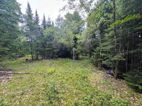M2 L21-2 S Ridge Road Palmyra ME 04965