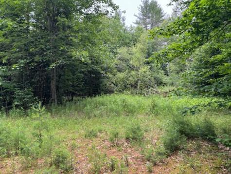 M2 L21-2 S Ridge Road Palmyra ME 04965