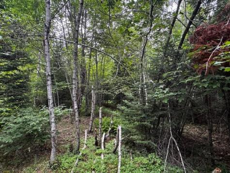 M2 L21-2 S Ridge Road Palmyra ME 04965