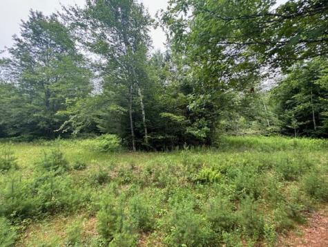 M2 L21-2 S Ridge Road Palmyra ME 04965