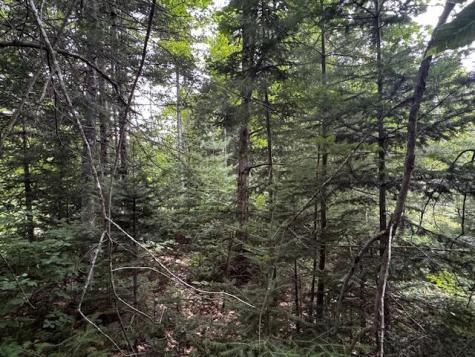 M2 L21-2 S Ridge Road Palmyra ME 04965