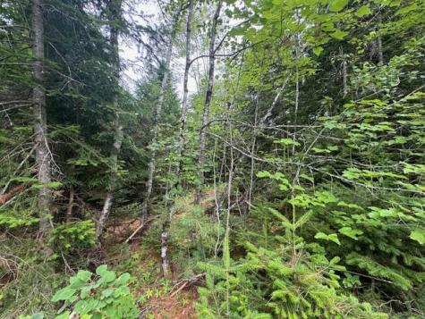 M2 L21-2 S Ridge Road Palmyra ME 04965