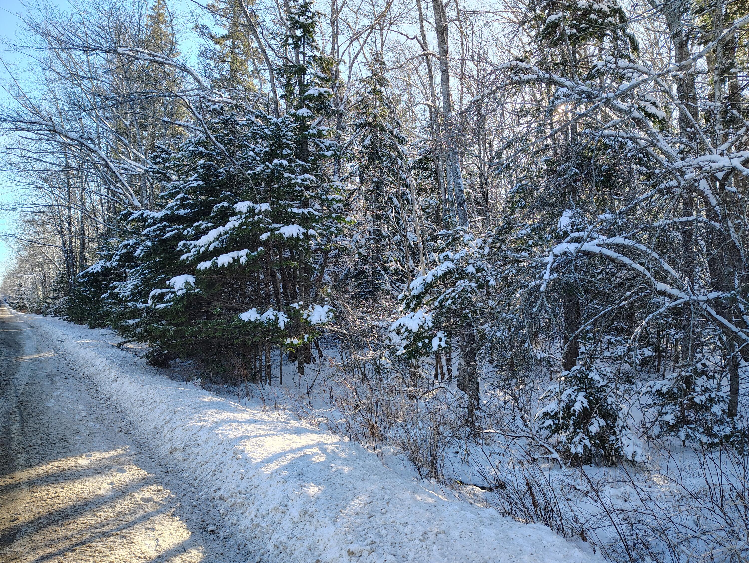 9-11d Pond Road Gouldsboro ME 04607