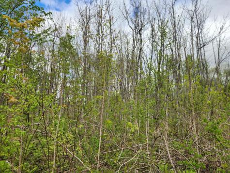 510 Dexter Road Garland ME 04939