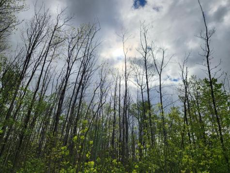 510 Dexter Road Garland ME 04939