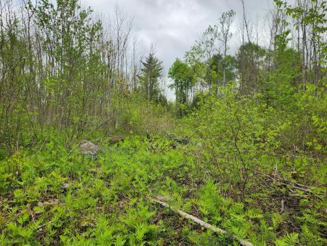 510 Dexter Road Garland ME 04939