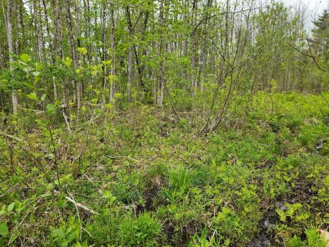 510 Dexter Road Garland ME 04939