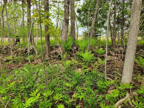 510 Dexter Road Garland ME 04939