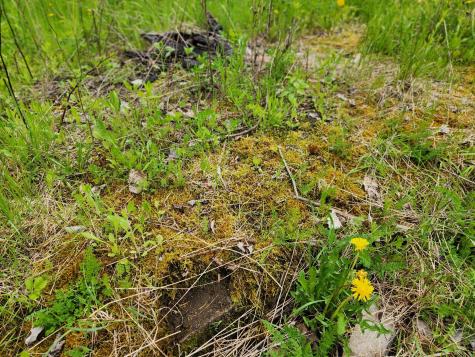 510 Dexter Road Garland ME 04939