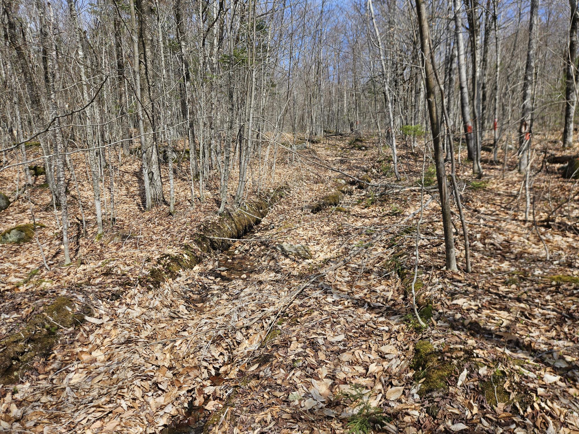 Map 4-47 Merrill Road Willimantic ME 04443