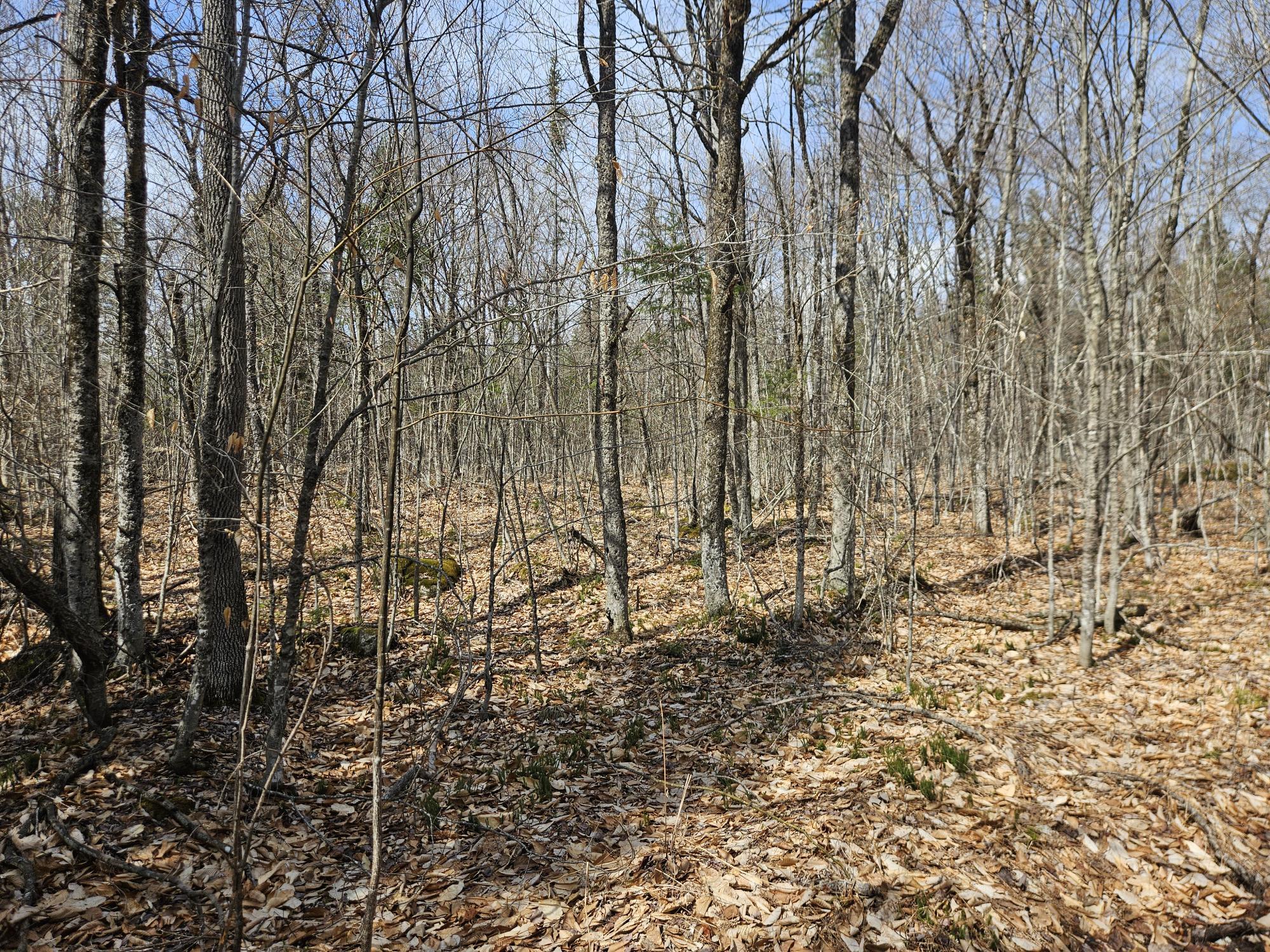 Map 4-47 Merrill Road Willimantic ME 04443