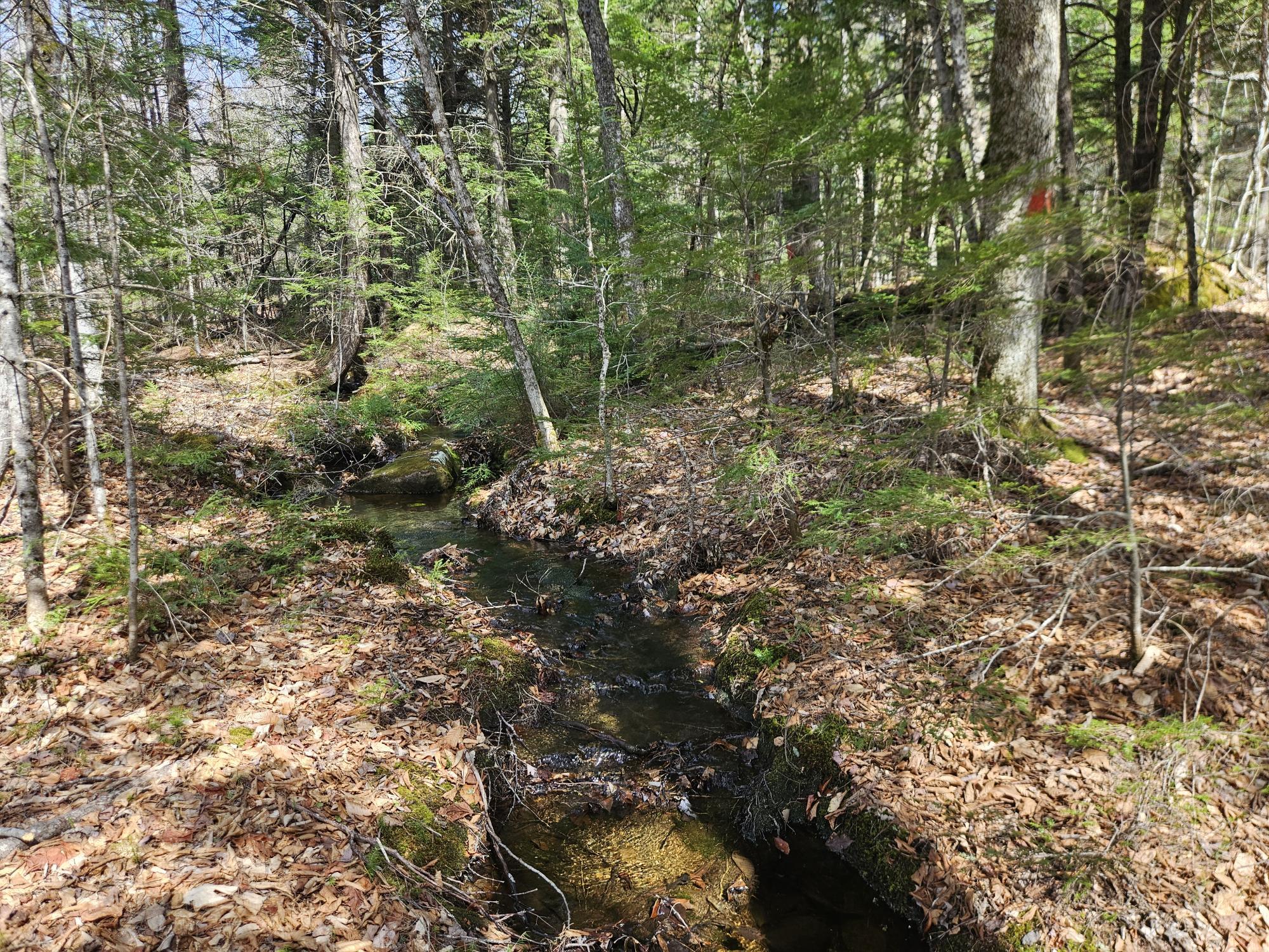 Map 4-47 Merrill Road Willimantic ME 04443