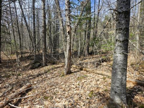 Map 4-47 Merrill Road Willimantic ME 04443