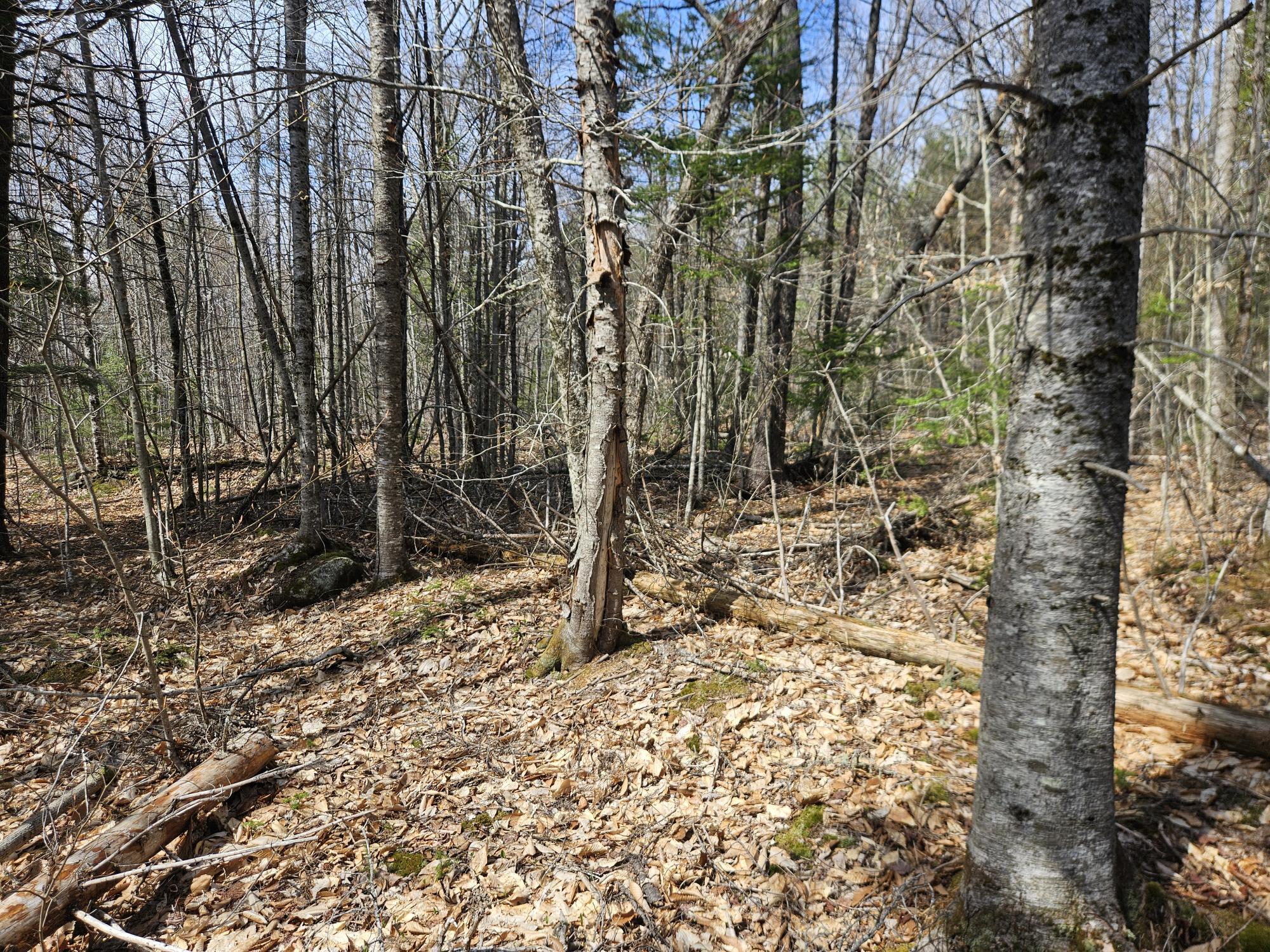 Map 4-47 Merrill Road Willimantic ME 04443