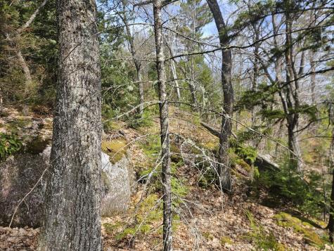 Map 4-47 Merrill Road Willimantic ME 04443