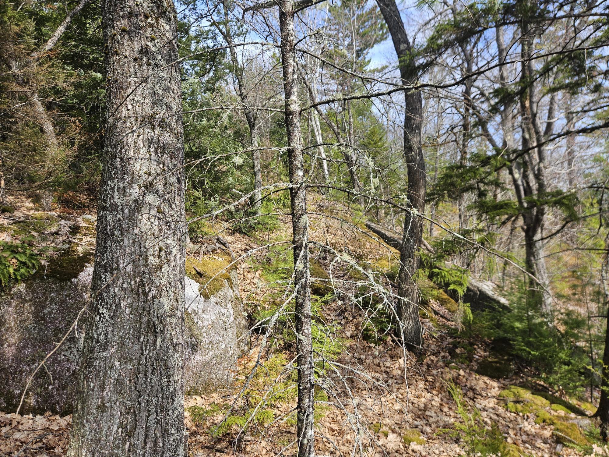 Map 4-47 Merrill Road Willimantic ME 04443