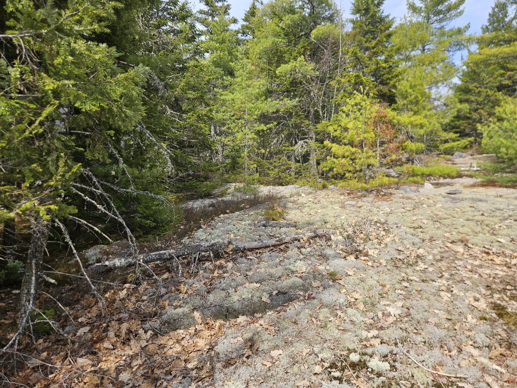 Map 4-47 Merrill Road Willimantic ME 04443