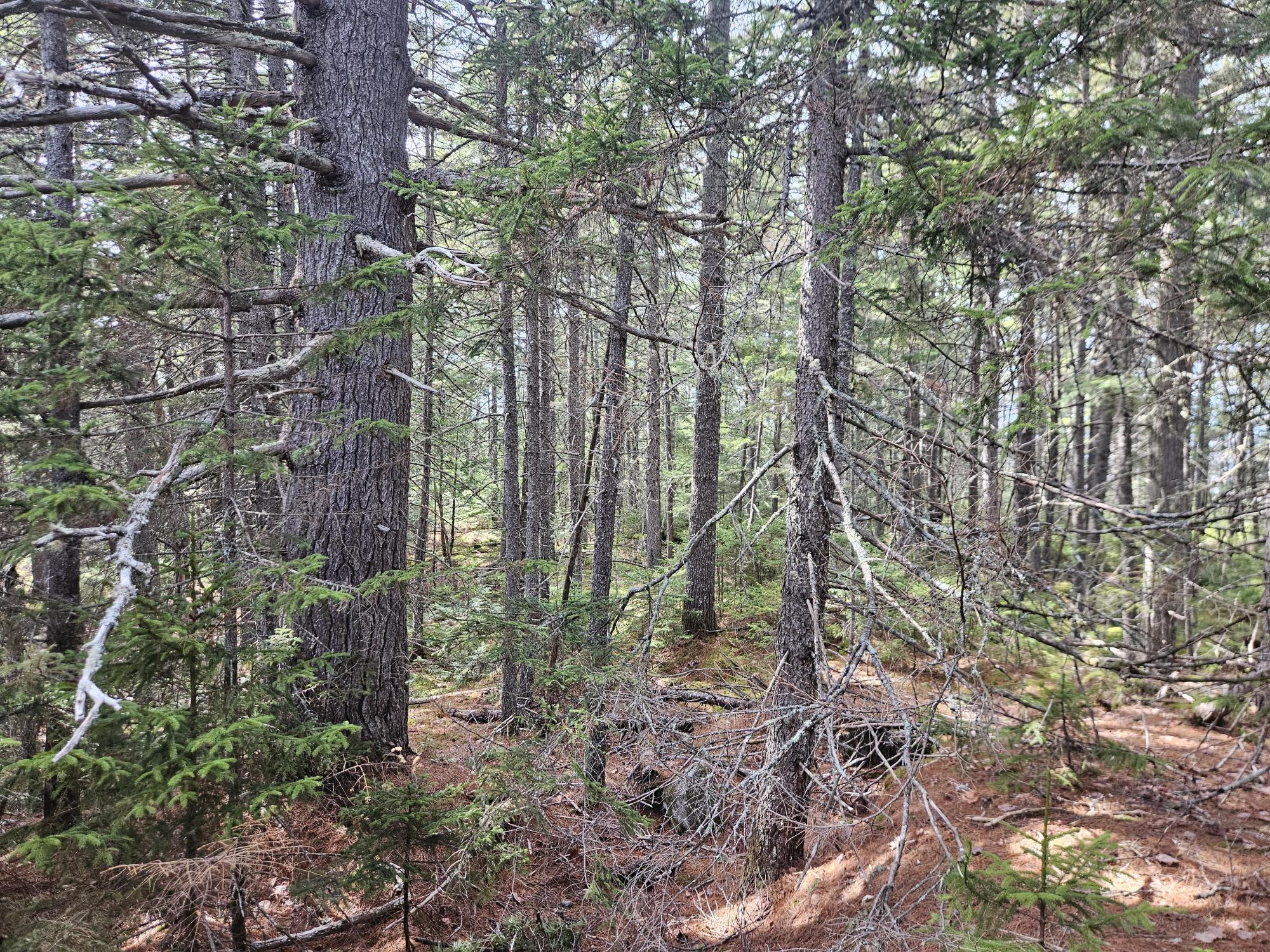 Map 4-47 Merrill Road Willimantic ME 04443