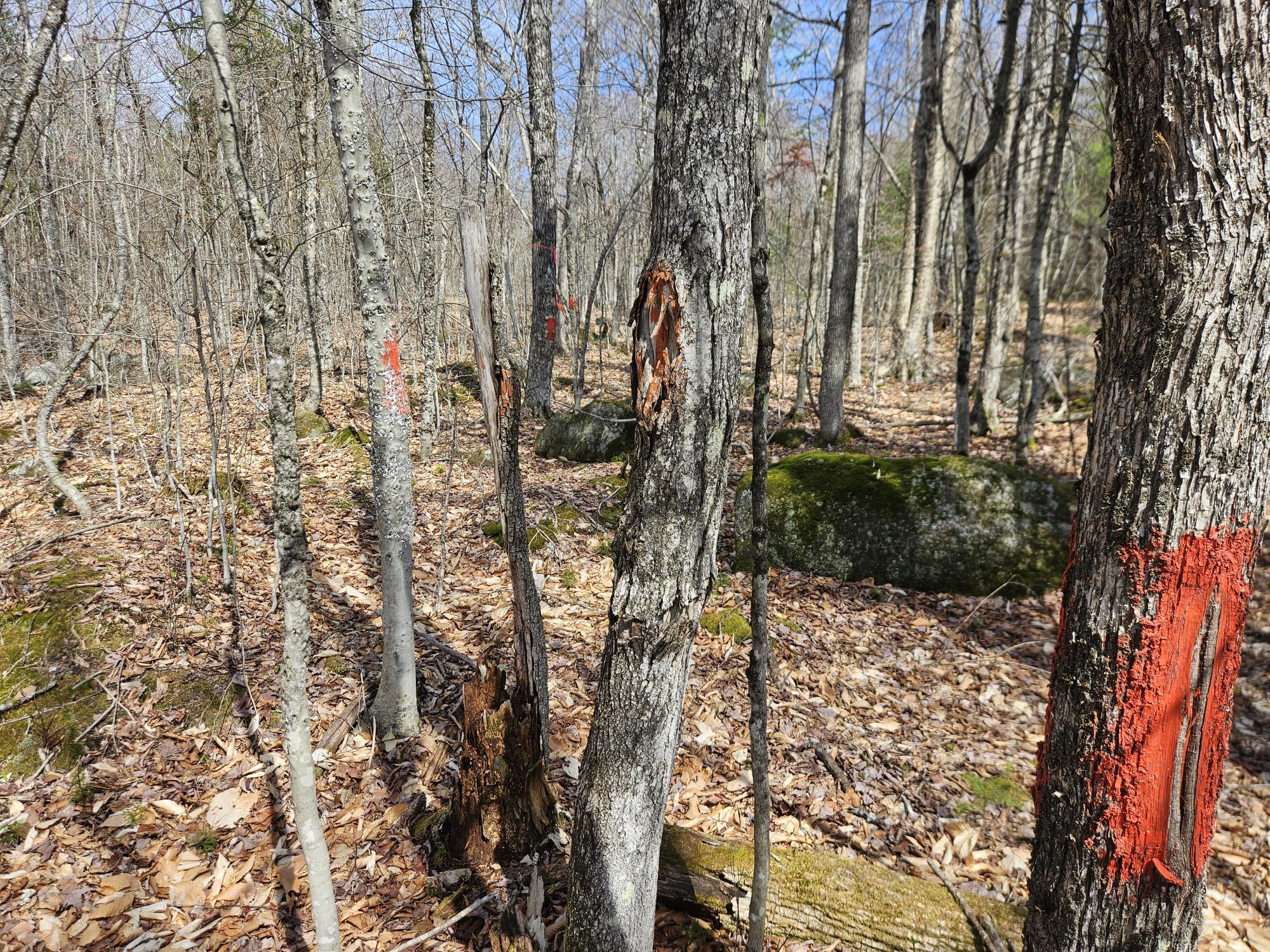 Map 4-47 Merrill Road Willimantic ME 04443