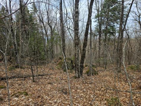 Map 4-47 Merrill Road Willimantic ME 04443