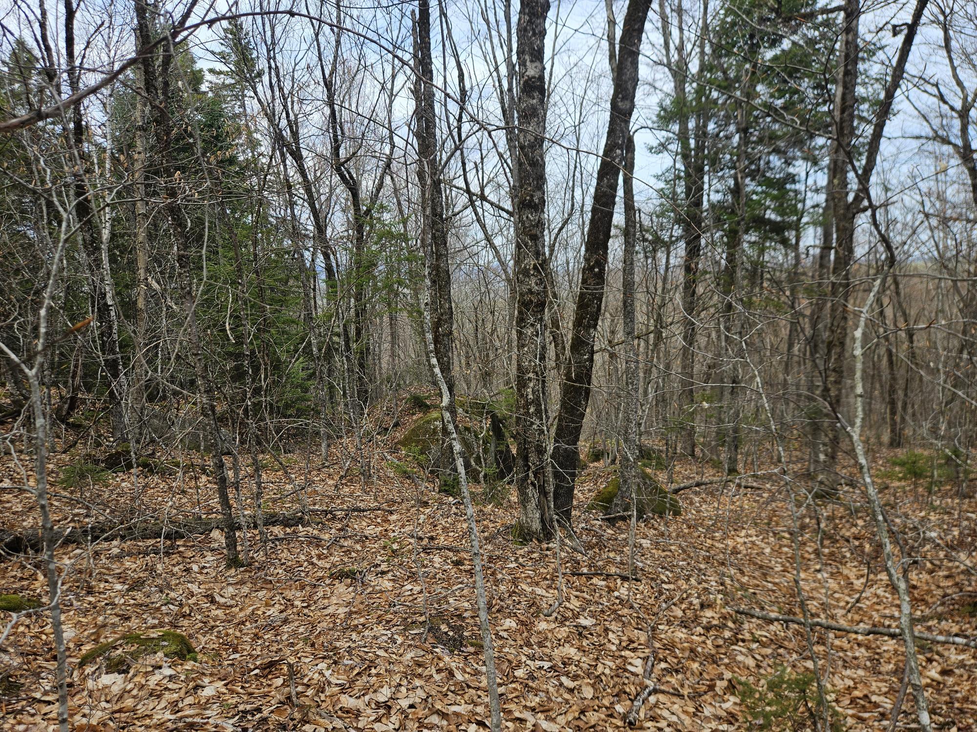 Map 4-47 Merrill Road Willimantic ME 04443