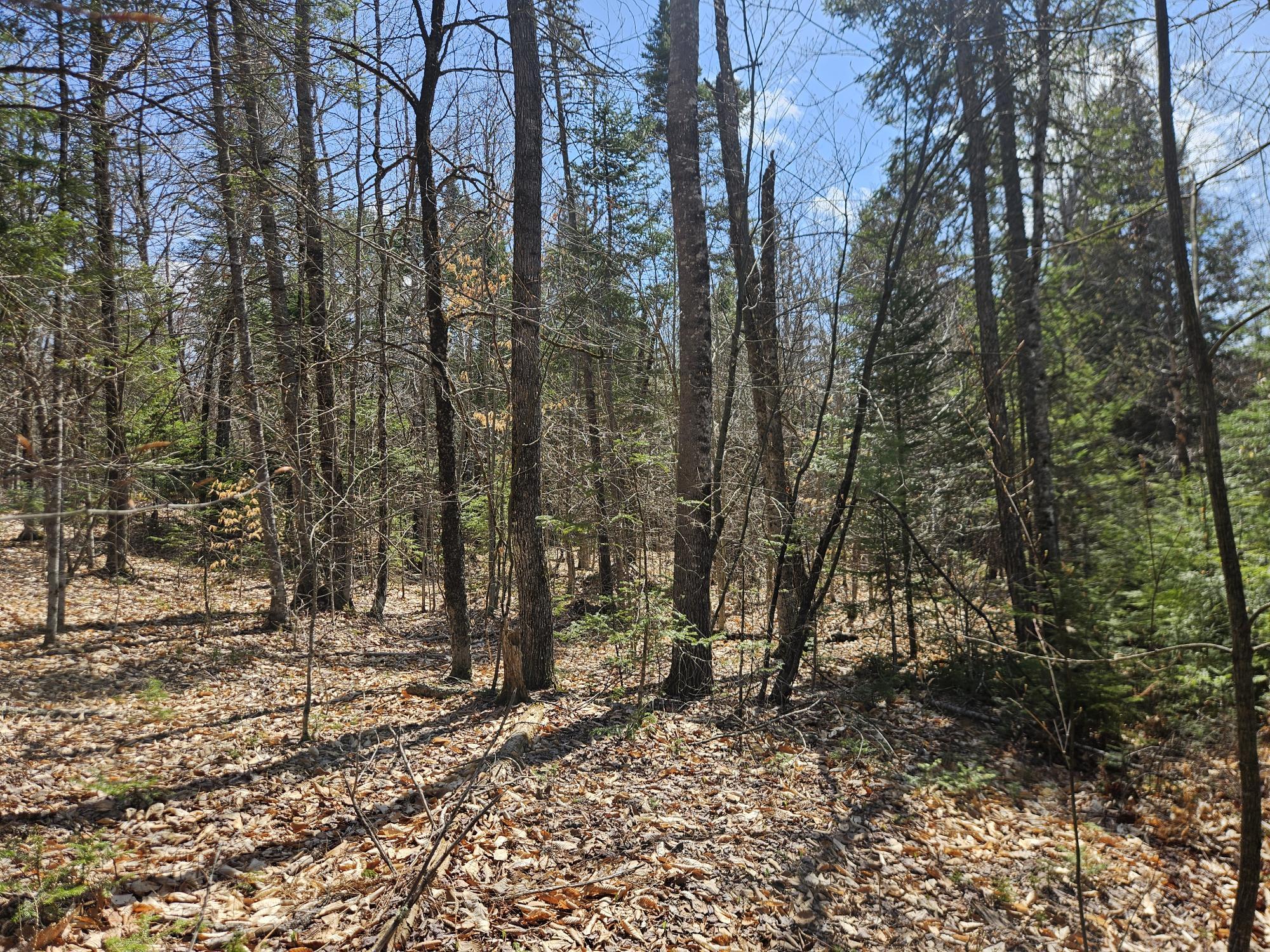 Map 4-47 Merrill Road Willimantic ME 04443