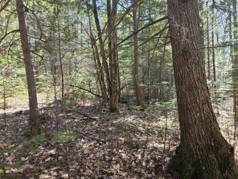 Map 4-47 Merrill Road Willimantic ME 04443