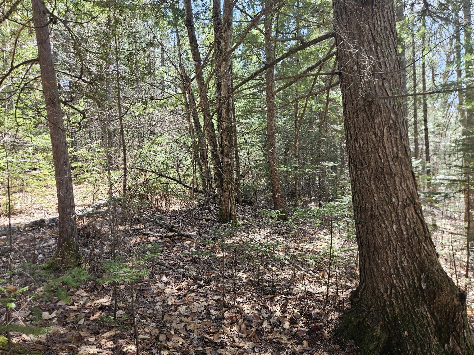 Map 4-47 Merrill Road Willimantic ME 04443