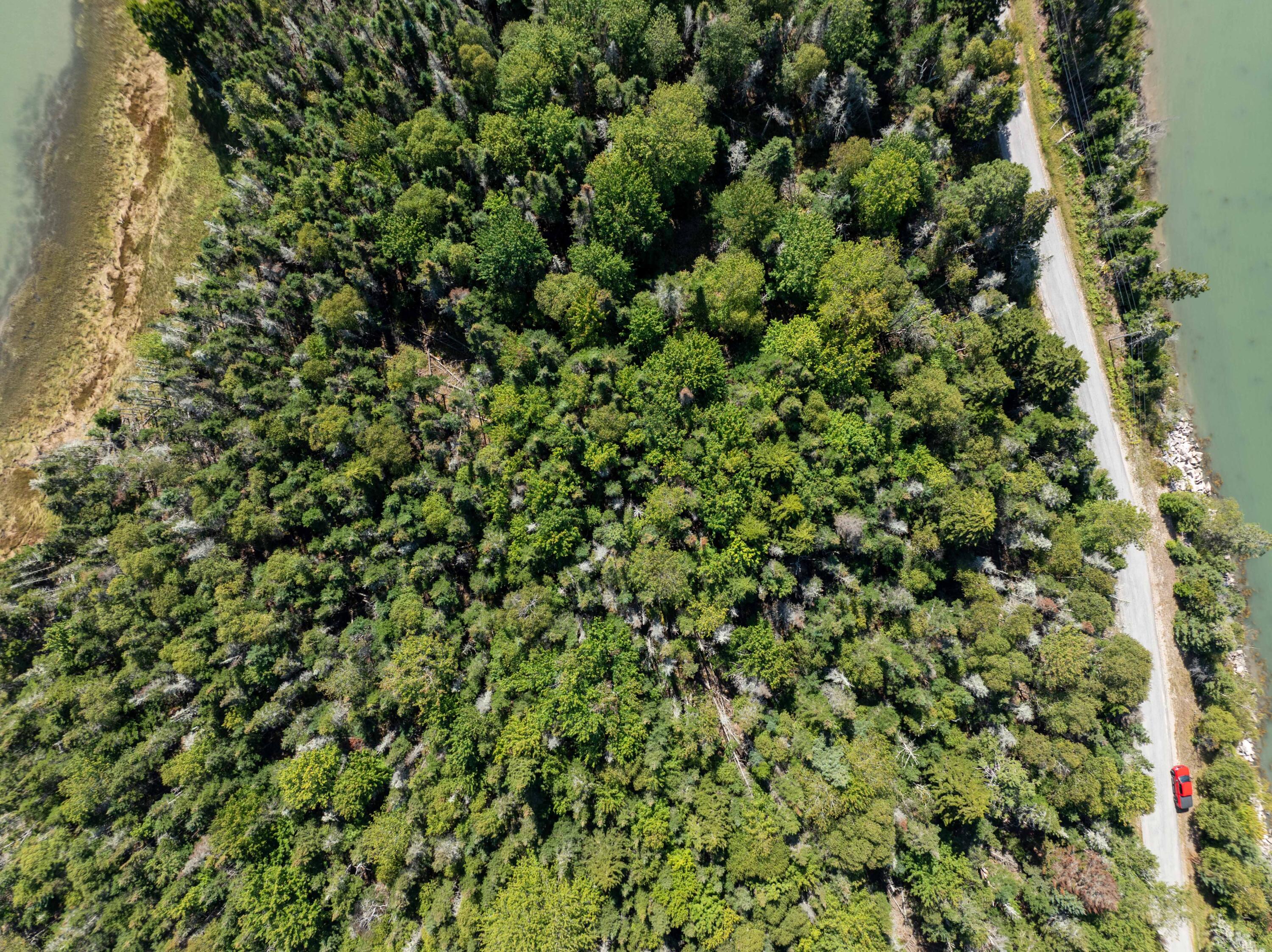 Lot 1 & 5 Evergreen Point Road Jonesboro ME 04648