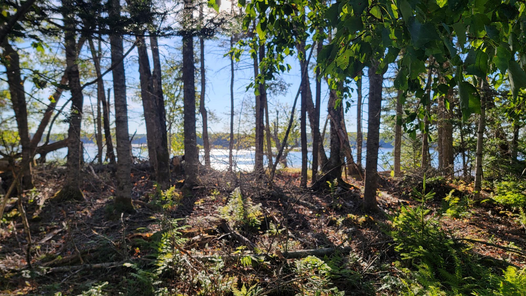 Lot 1 & 5 Evergreen Point Road Jonesboro ME 04648