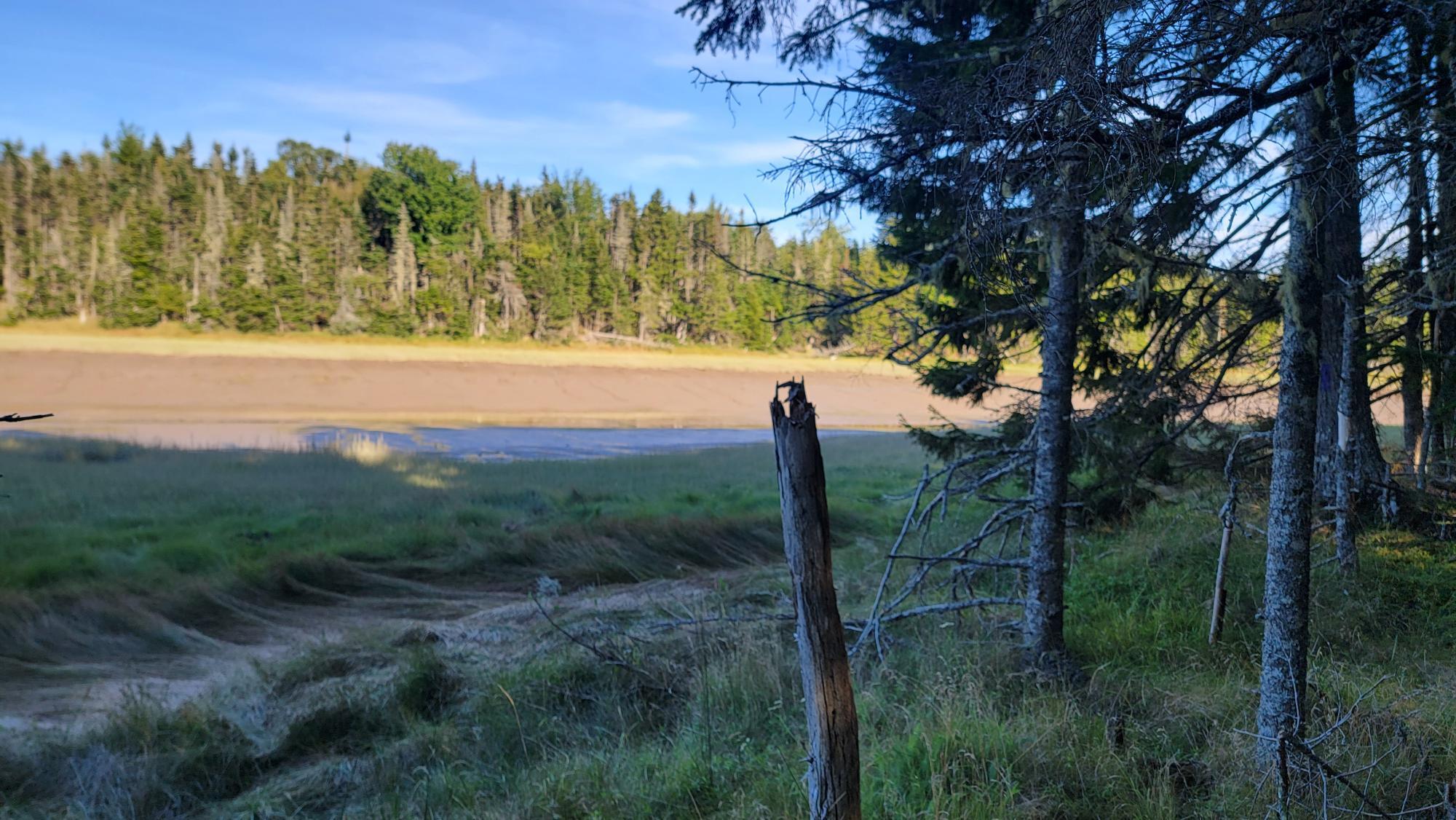 Lot 1 & 5 Evergreen Point Road Jonesboro ME 04648