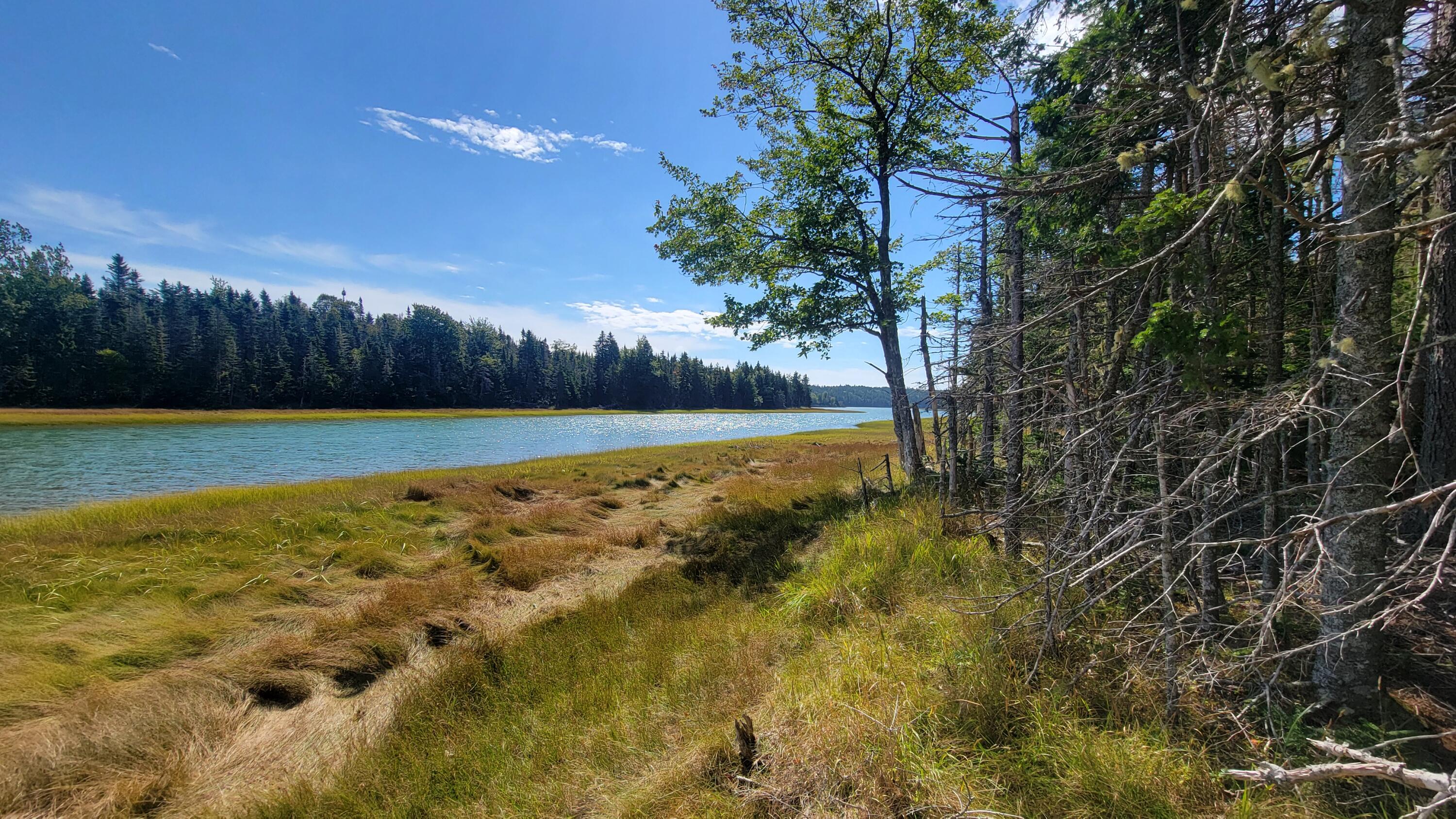 Lot 1 & 5 Evergreen Point Road Jonesboro ME 04648