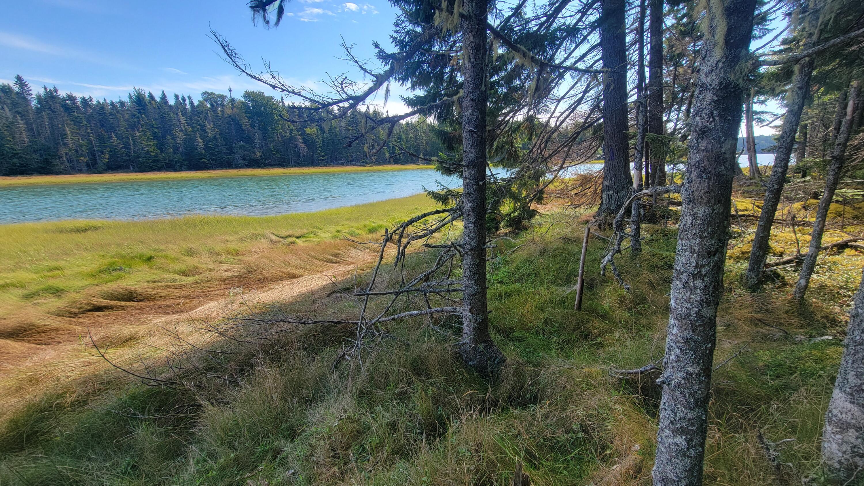 Lot 1 & 5 Evergreen Point Road Jonesboro ME 04648