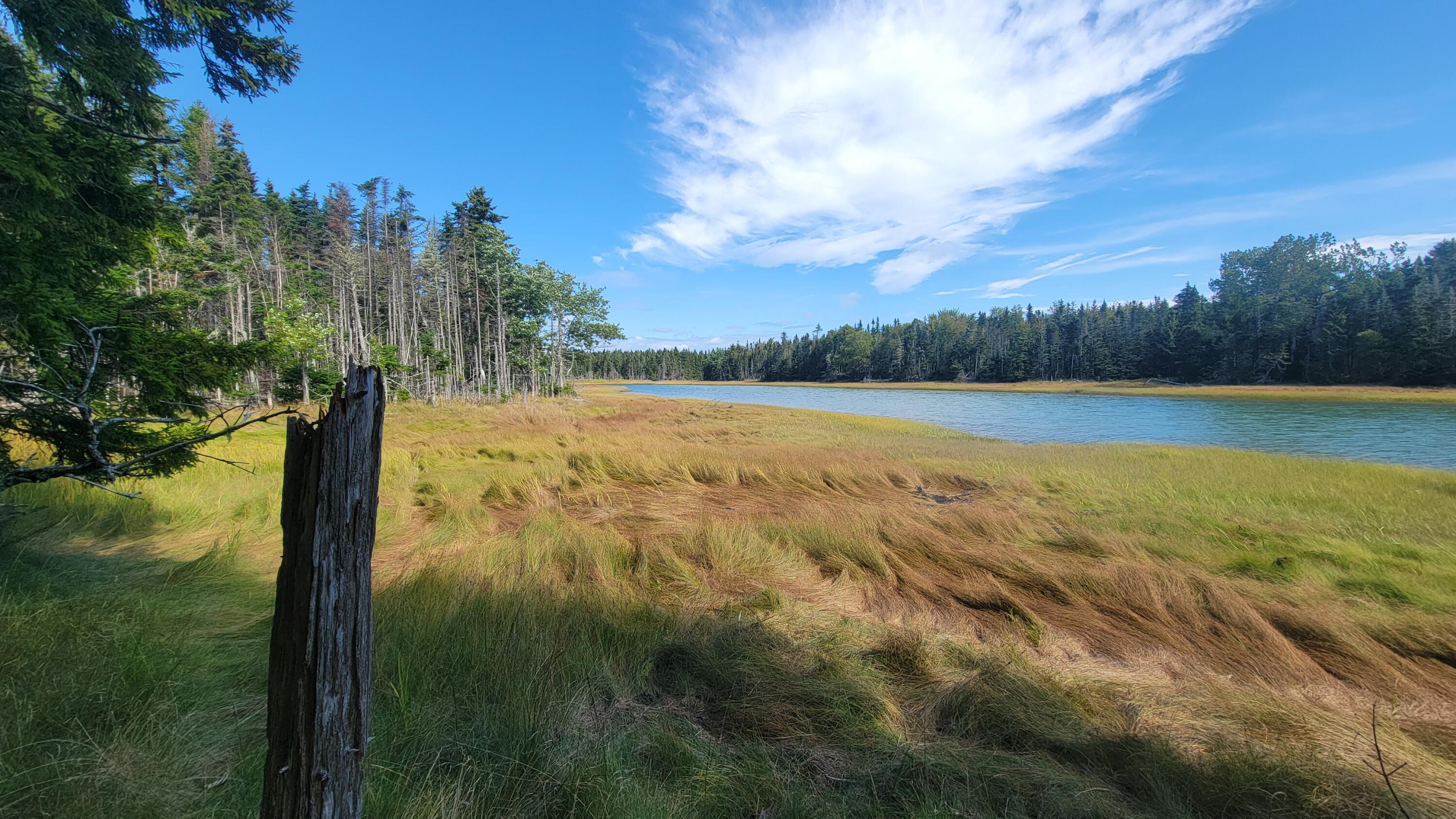 Lot 1 & 5 Evergreen Point Road Jonesboro ME 04648