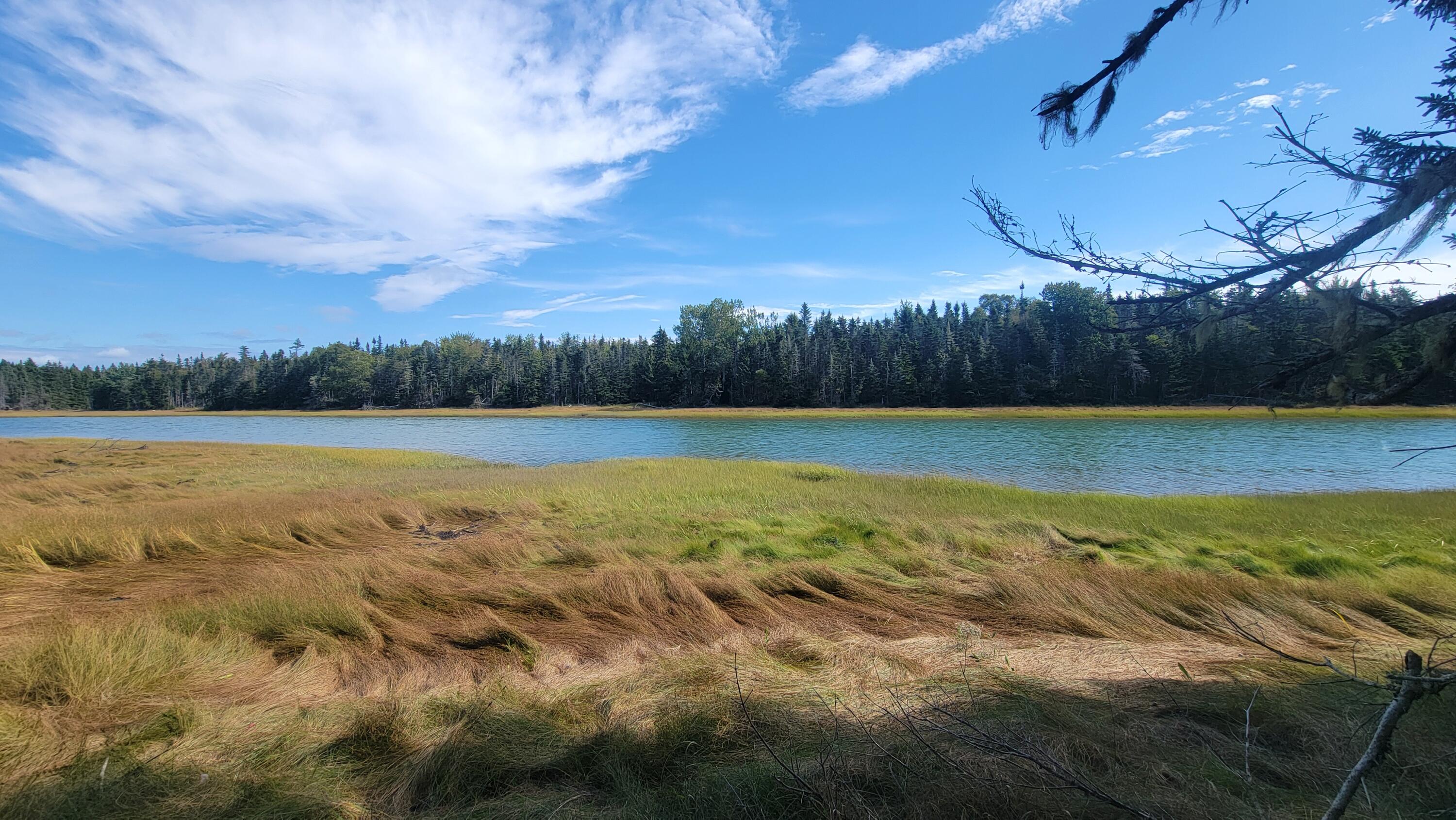 Lot 1 & 5 Evergreen Point Road Jonesboro ME 04648